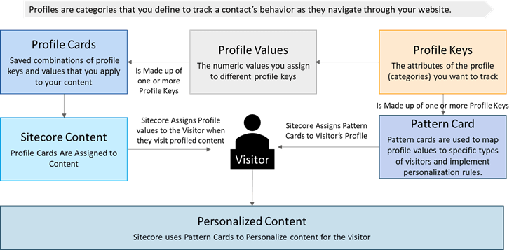 Sitecore content profiling helping you understand and target your customers accurately